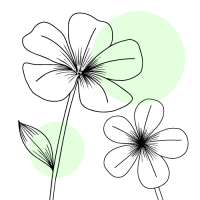 dessin-fleur-1