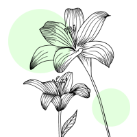 dessin-fleur-2