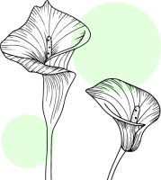 dessin-fleur-3