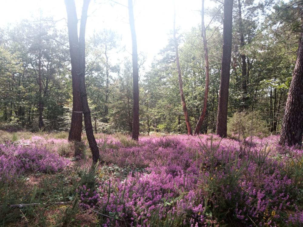 Parcours nature près de Beynat