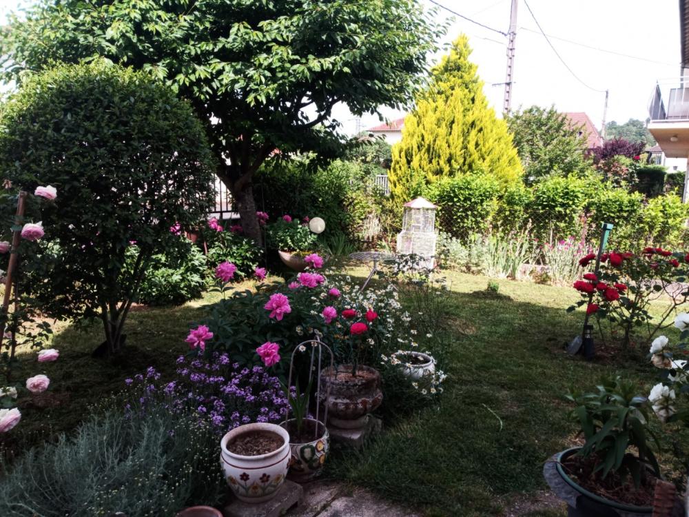 jardin-fleurs