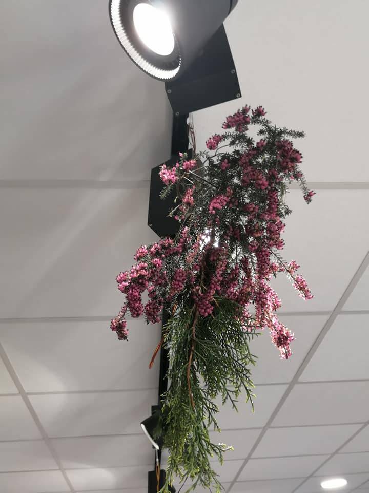 decoration-lampe