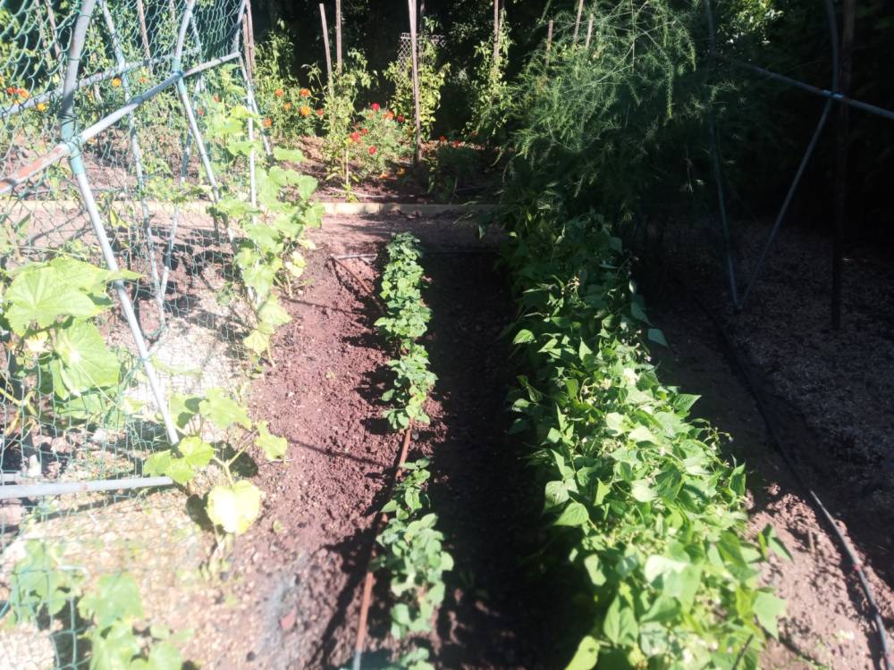 Formation jardinage près de Beynat