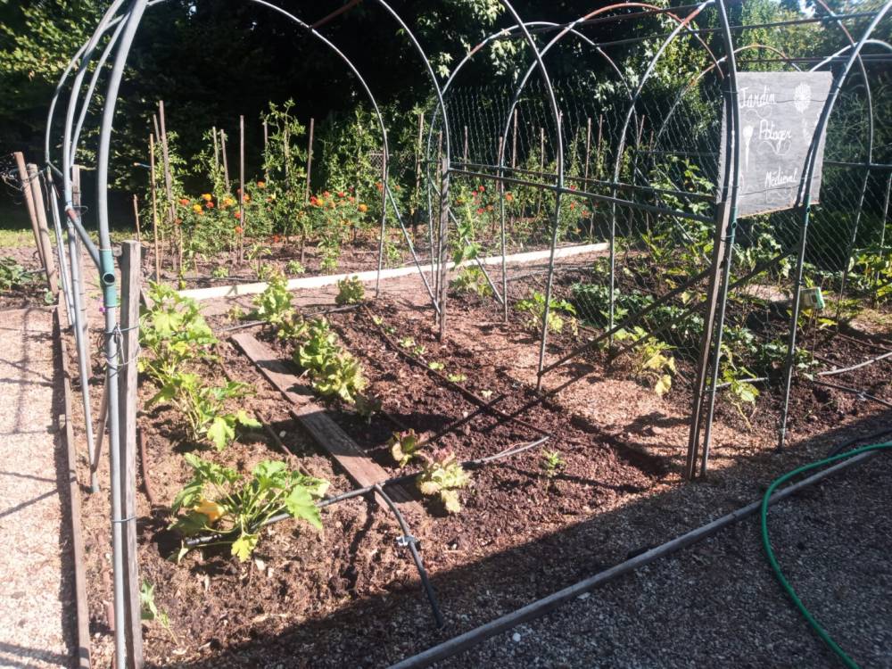 jardin-potager