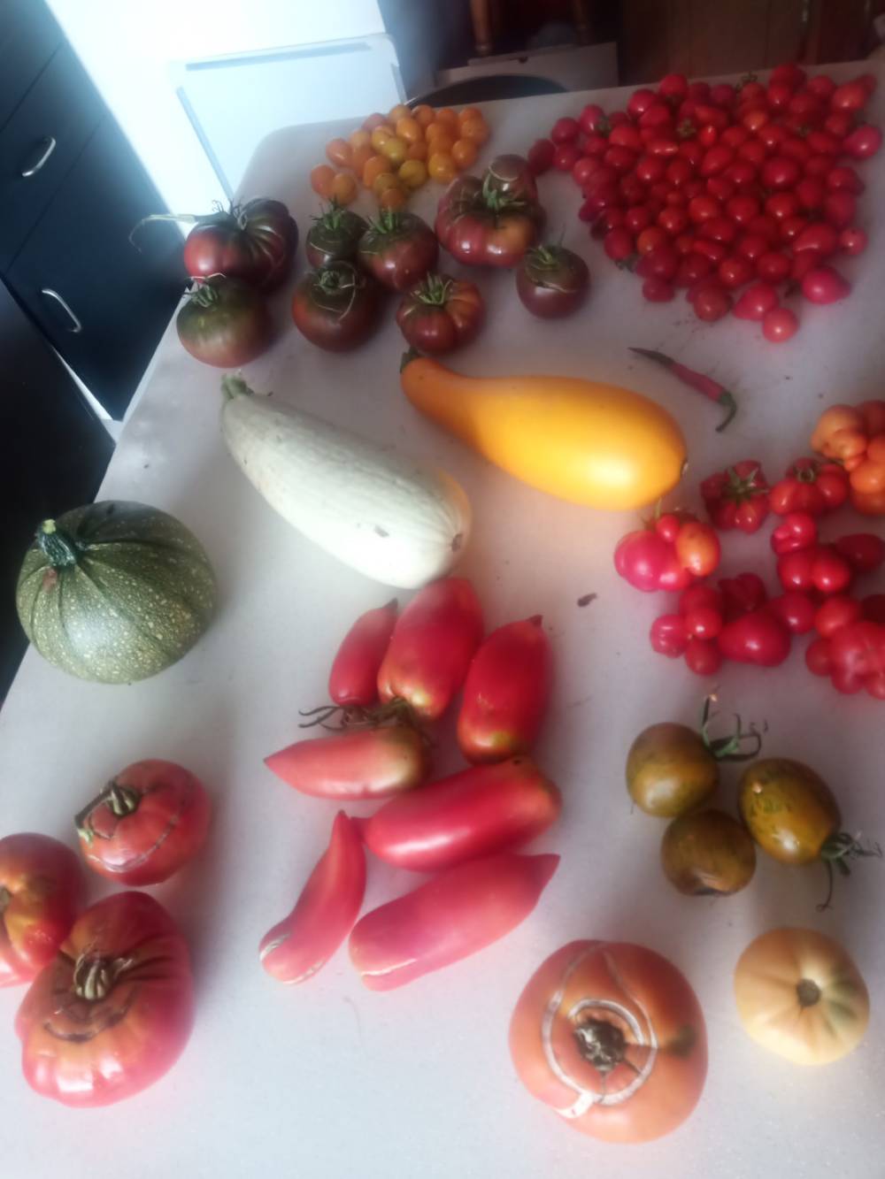 legumes
