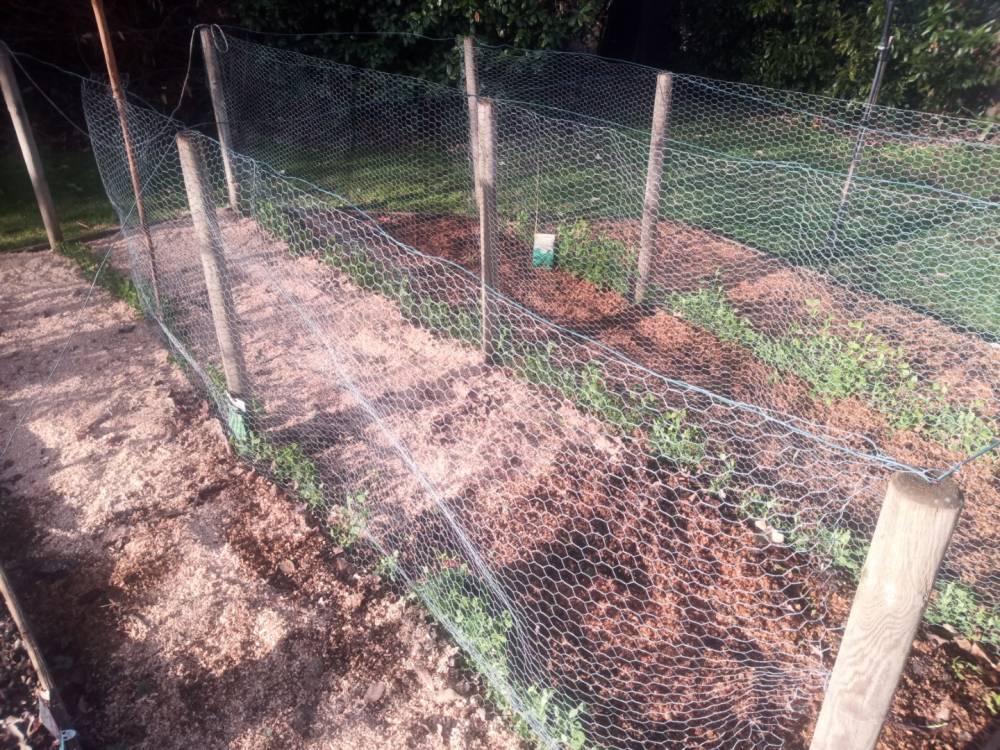 Jardin potager près de Beynat